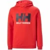 Buy 🛒 Helly Hansen Logo Pullover Hoodie Men's 🎉 -Helly Hansen Sales Shop RD2